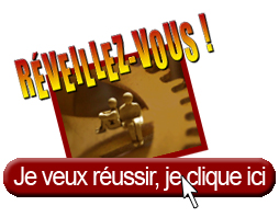 R�servez votre exemplaire du livre R�veillez-vous ! Qu'attendez-vous pour gagner de l'argent sur Internet ?